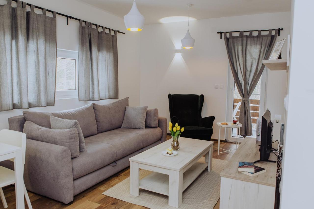 Planinsko Srce Apartment Divcibare Ngoại thất bức ảnh